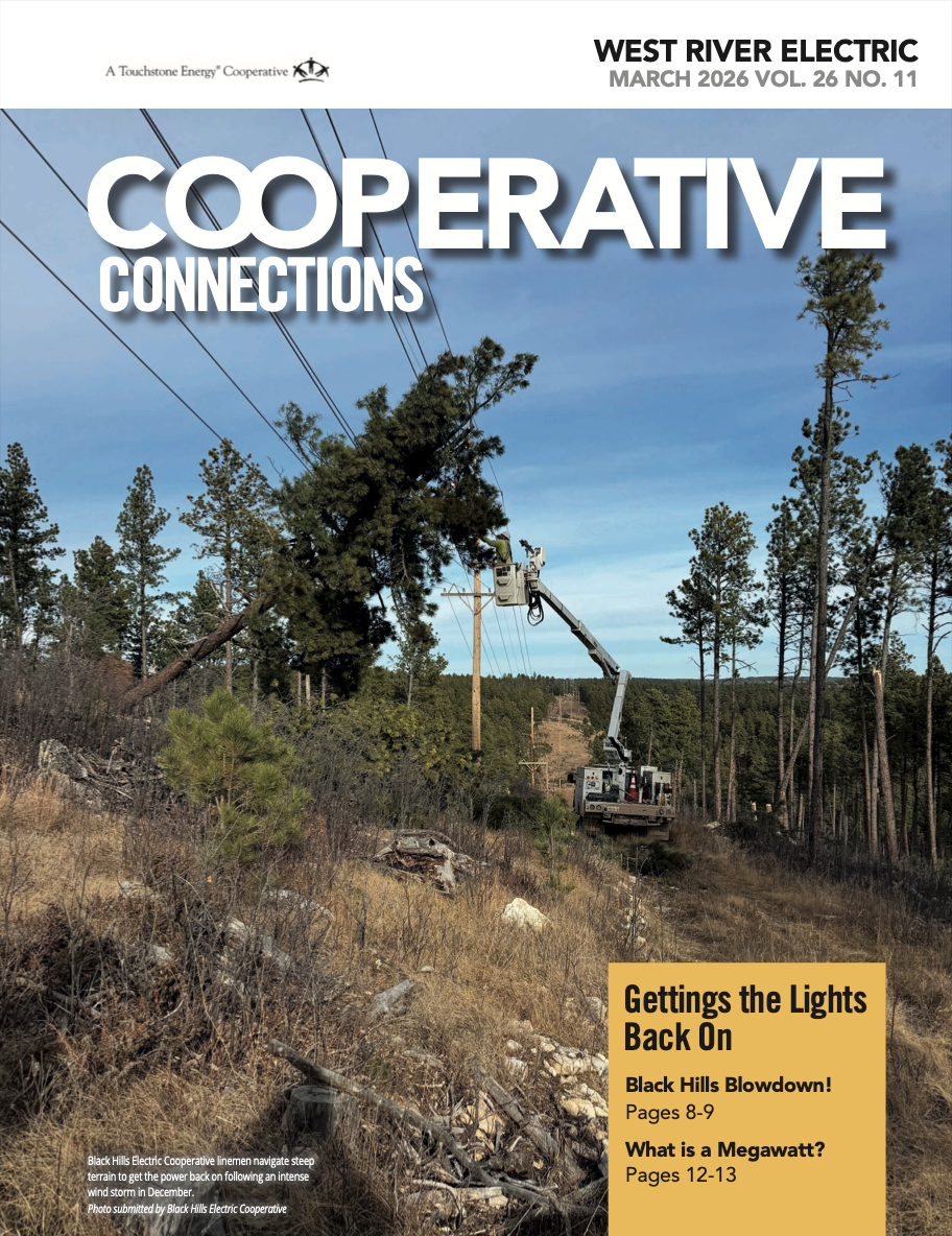 March Connections